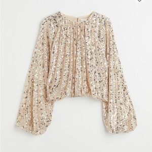 H&M Sparkling Sequin Cropped Top in Silver